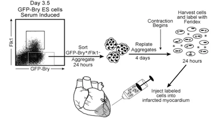 11 of 16, Figure 1