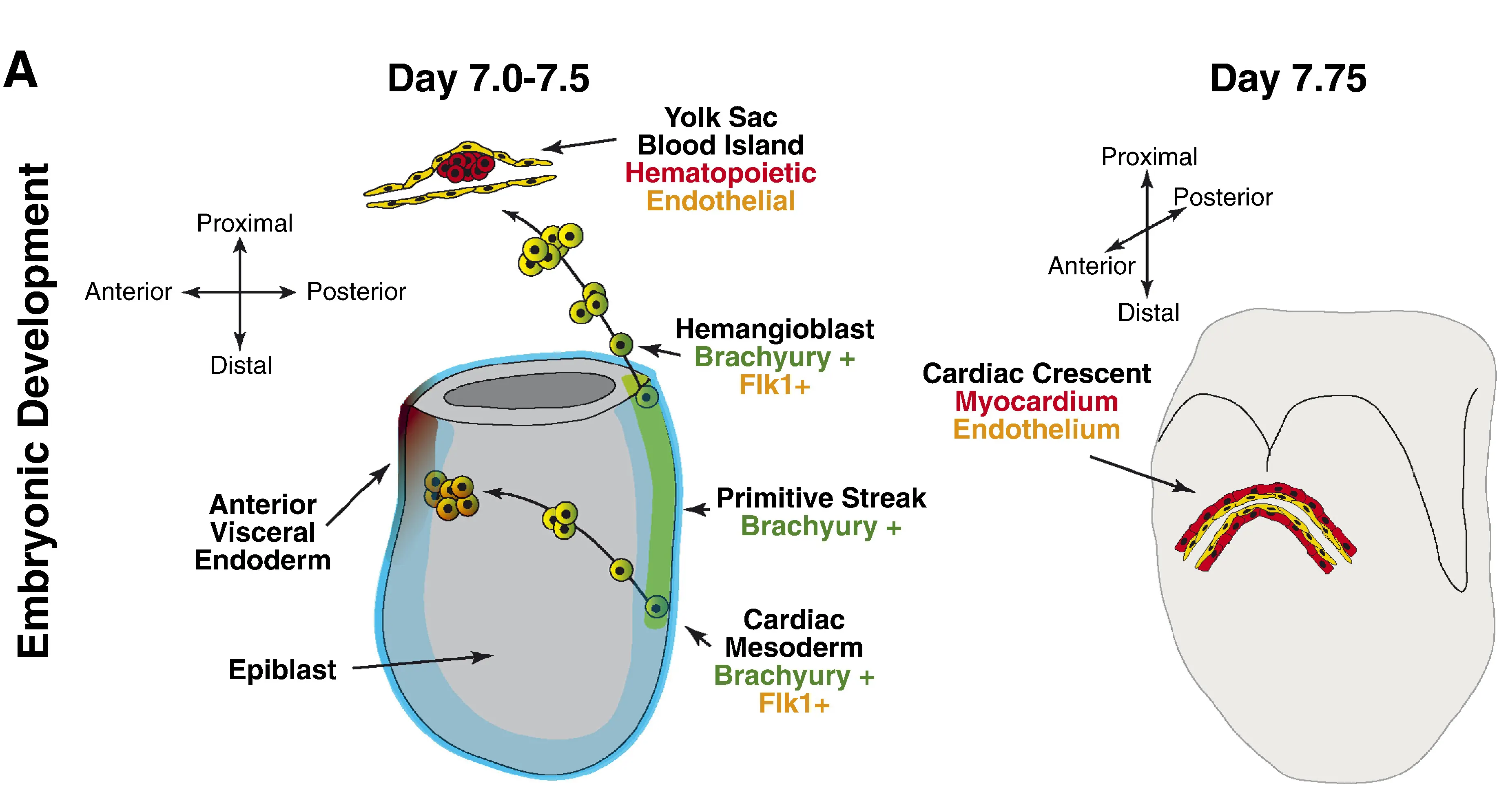 12 of 16, Figure 1