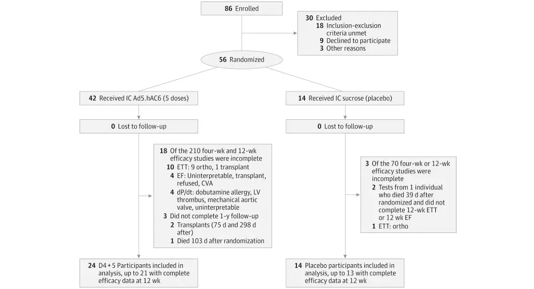 16 of 16, Figure 1. Flow Diagram of Enrollment, Randomization, Follow-up, and Analysis CVA indicates cerebrovascular accident; D4 + 5, doses 4 and 5; dP/dt, rate of left ventricular (LV) pressure development and decay; EF, ejection fraction; ETT, exercise treadmill test; and IC, intracoronary.