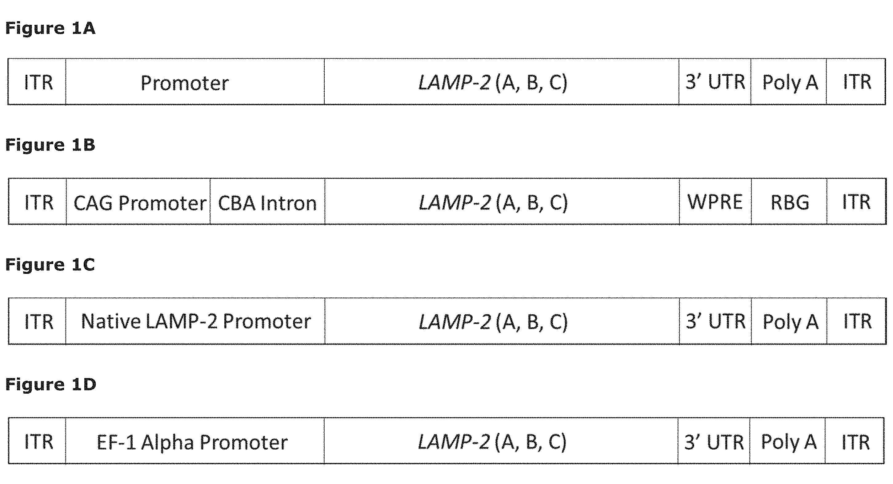 5 of 16, Figure 1A