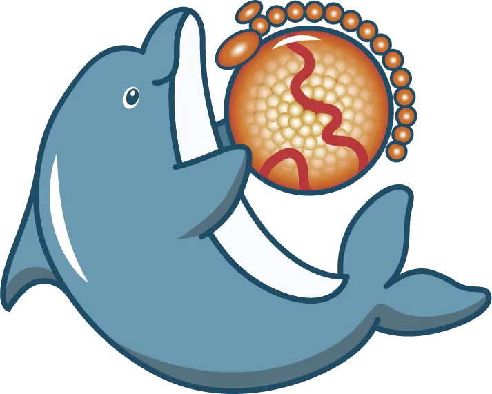 dolphin playing with Lp(a) ball