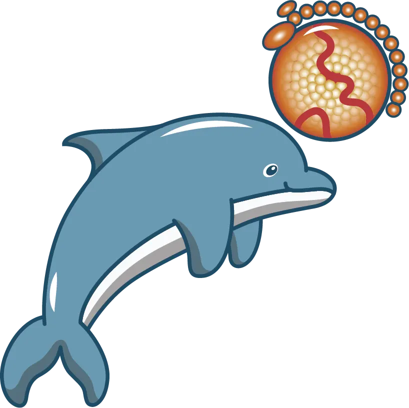 dolphin playing with Lp(a) ball